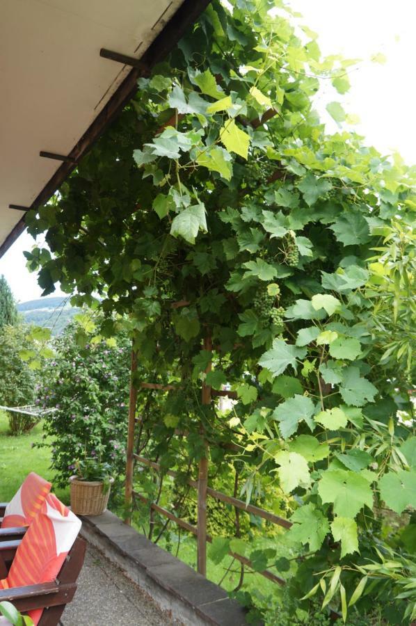 Pension Klimesch Mondsee Zewnętrze zdjęcie